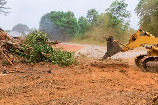 Forestry Mulching Service in Marysville