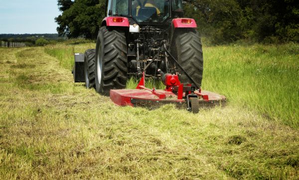 Brush Clearing Service in Marysville