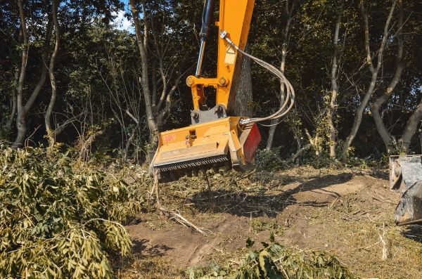 Brush Removal Service in Marysville
