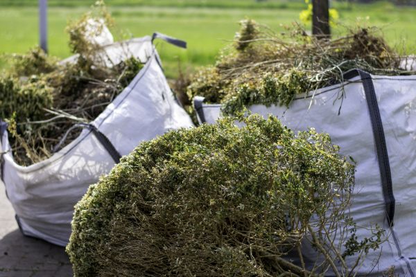 Bushes Clearing in Marysville