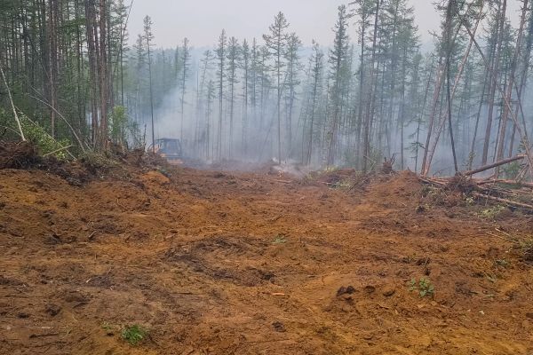 Hill Clearing in Marysville