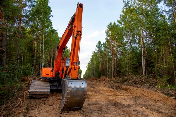 Backhoe Land Clearing in Marysville