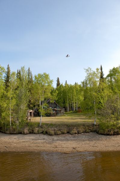 Waterfront Land Clearing in Marysville