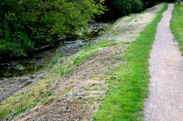 Trail Cutting in Marysville