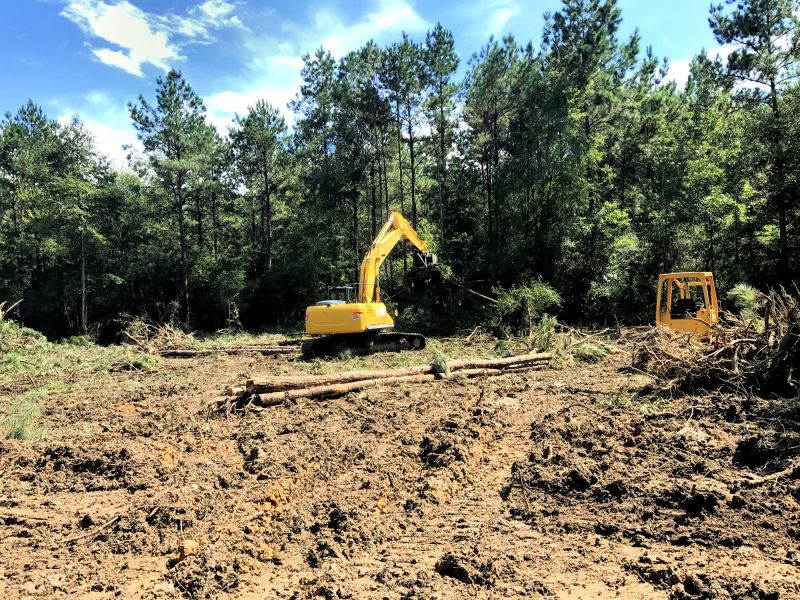 Professional Land Clearing
